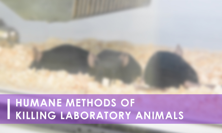 Humane Methods of Killing () – Research Animal Training Humane Methods of Killing () – Research Animal Training